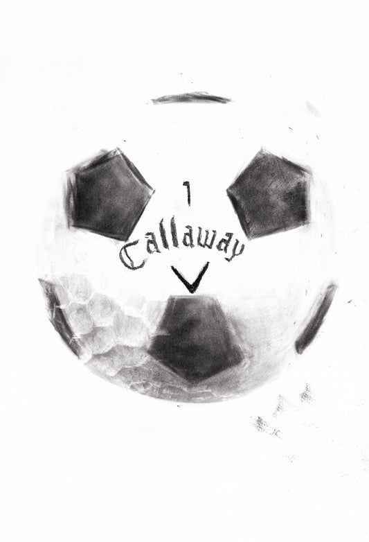 Cal's Choice - Drawing